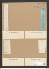 Stauroneis anceps Ehr. (de-Toni-Nr.: Genus 6, Species 902) Zeichnungen Sammlung Grunow Nr. 1761 (NHMW-BOT-W0368652)